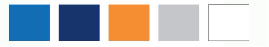 SMS Brand Colors 