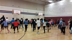 2016 SCHS wellness 