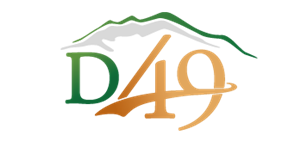 D49 Full Color 