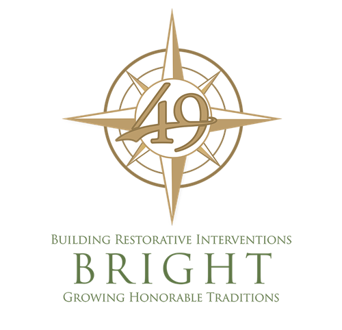 BRIGHT logo BRIGHT logo