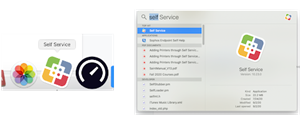 self service access graphic 
